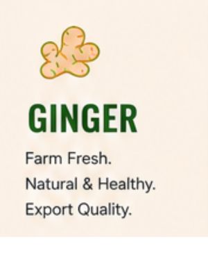 ginger